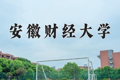 安徽财经大学王牌专业有哪些？附2024最新王牌专业排名一览表