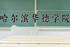 哈尔滨华德学院王牌专业有哪些？附2024最新王牌专业排名一览表