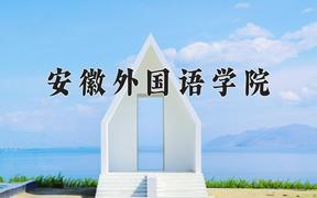 安徽外国语学院王牌专业有哪些？附2024最新王牌专业排名一览表