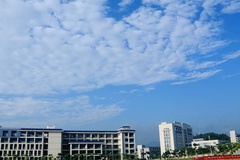 惠州城市职业学院近三年在河南录取分数线(含2021-2023最低分)