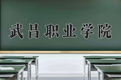 武昌职业学院一年学费多少钱及各专业的收费标准(2025参考）