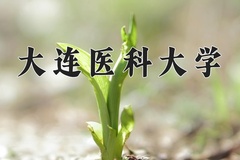 大连医科大学一年学费多少钱及各专业的收费标准(2025参考）