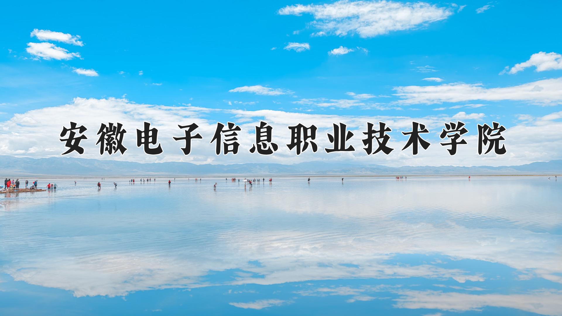 安徽电子信息职业技术学院一年学费多少钱及各专业的收费标准(2025参考）