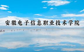 安徽电子信息职业技术学院一年学费多少钱及各专业的收费标准(2025参考）