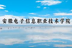 安徽电子信息职业技术学院一年学费多少钱及各专业的收费标准(2025参考）