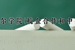 呼伦贝尔学院(校企合作和中外合作)一年学费多少钱及各专业的收费标准(2025参考）