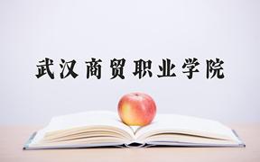 武汉商贸职业学院一年学费多少钱及各专业的收费标准(2025参考）