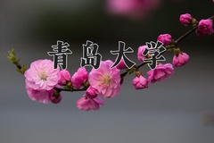 青岛大学一年学费多少钱及各专业的收费标准(2025参考）
