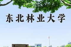 东北林业大学一年学费多少钱及各专业的收费标准(2025参考）