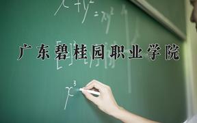 广东碧桂园职业学院一年学费多少钱及各专业的收费标准(2025参考）