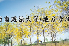 西南政法大学(地方专项)一年学费多少钱及各专业的收费标准(2025参考）