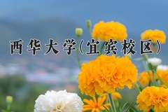 西华大学(宜宾校区)一年学费多少钱及各专业的收费标准(2025参考）