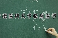 安徽医科大学临床医学院一年学费多少钱及各专业的收费标准(2025参考）