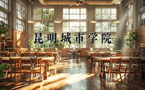 昆明城市学院一年学费多少钱及各专业的收费标准(2025参考）