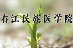右江民族医学院一年学费多少钱及各专业的收费标准(2025参考）