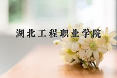 湖北工程职业学院一年学费多少钱及各专业的收费标准(2025参考）