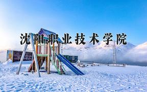 沈阳职业技术学院一年学费多少钱及各专业的收费标准(2025参考）