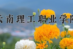 云南理工职业学院一年学费多少钱及各专业的收费标准(2025参考）