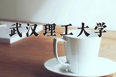 武汉理工大学一年学费多少钱及各专业的收费标准(2025参考）