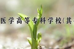 南阳医学高等专科学校(其他类)一年学费多少钱及各专业的收费标准(2025参考）