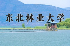 2024东北林业大学排名-最新全国排名第96位