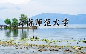 2024云南师范大学排名-最新全国排名第174位