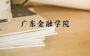 2024广东金融学院排名-最新全国排名第377位