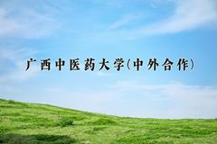 2024年广西中医药大学(中外合作)在重庆计划招生人数（附学费及专业录取分)