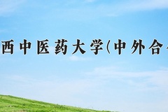 2024年广西中医药大学(中外合作)在重庆计划招生人数（附学费及专业录取分)