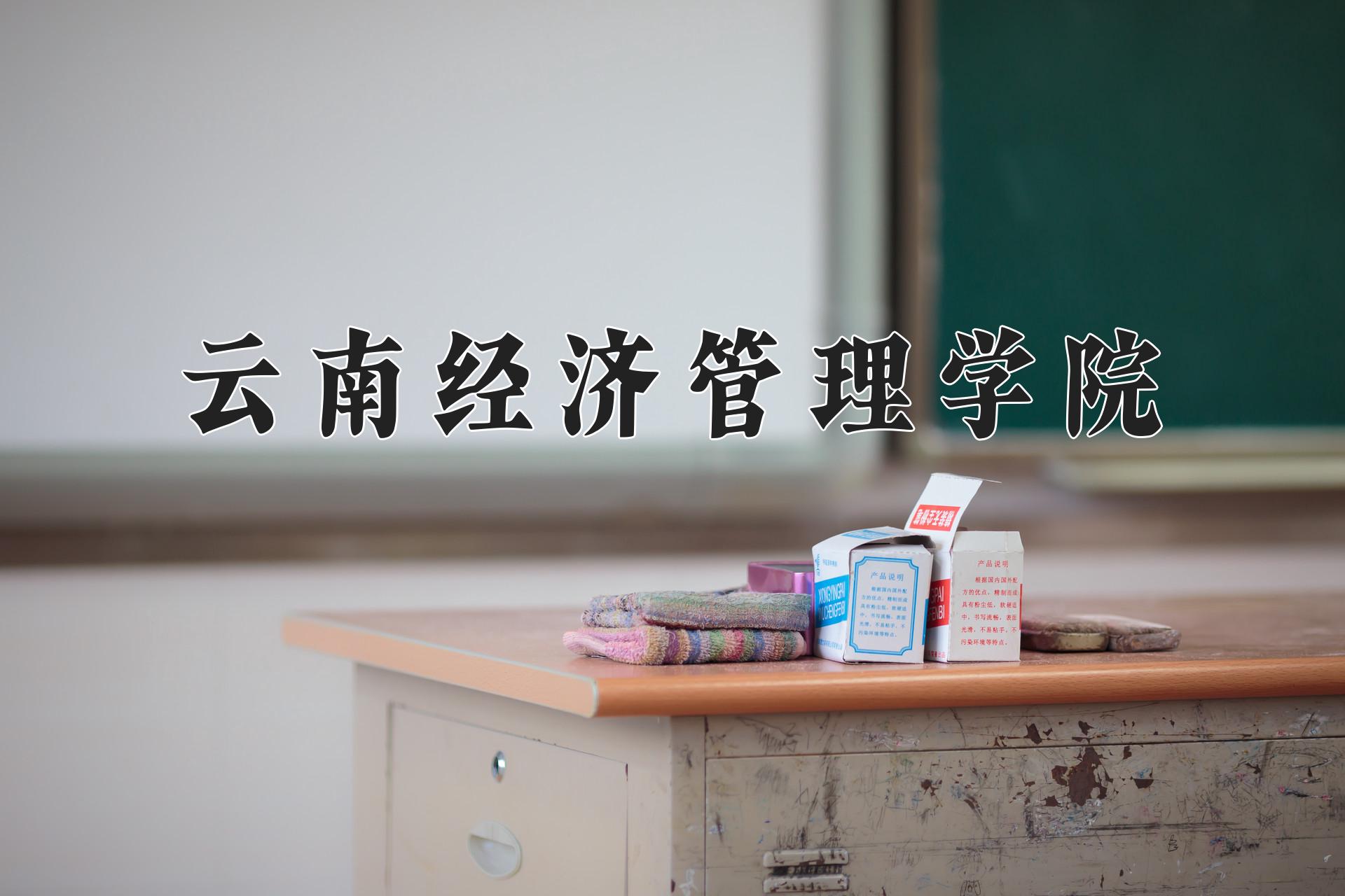 云南经济管理学院