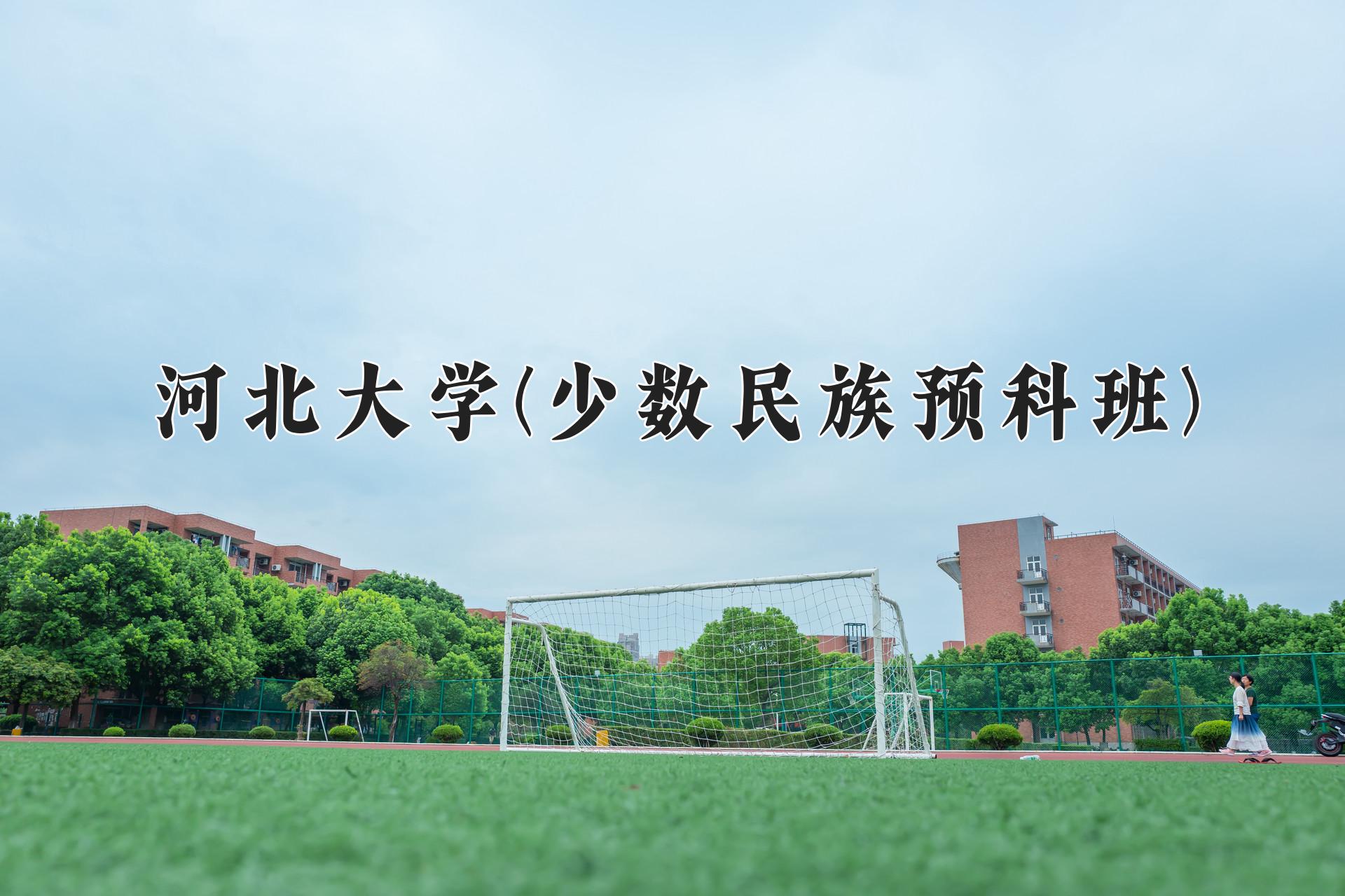 河北大学(少数民族预科班)