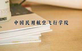 2024年中国民用航空飞行学院在重庆计划招生人数（附学费及专业录取分)