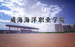 2024年威海海洋职业学院在河北计划招生人数（附学费及专业录取分)