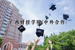 2024年广西财经学院(中外合作)在重庆计划招生人数（附学费及专业录取分)