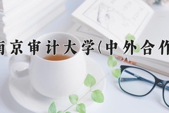 2024年南京审计大学(中外合作)在重庆计划招生人数（附学费及专业录取分)