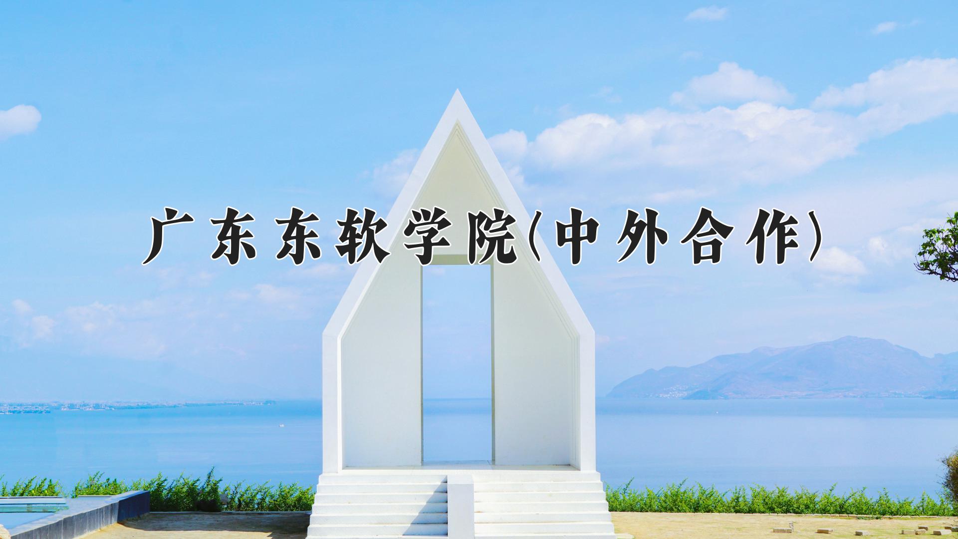 广东东软学院(中外合作)