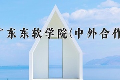 2024年广东东软学院(中外合作)在重庆计划招生人数（附学费及专业录取分)