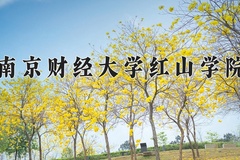 2024年南京财经大学红山学院在重庆计划招生人数（附学费及专业录取分)