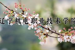 2024年辽宁机电职业技术学院在重庆计划招生人数（附学费及专业录取分)