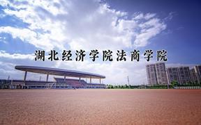 2024年湖北经济学院法商学院在重庆计划招生人数（附学费及专业录取分)