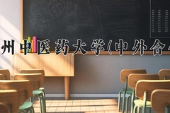 2024年贵州中医药大学(中外合作)在重庆计划招生人数（附学费及专业录取分)