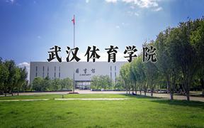 2024年武汉体育学院在重庆计划招生人数（附学费及专业录取分)