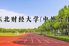 2024年东北财经大学(中外合作)在重庆计划招生人数（附学费及专业录取分)