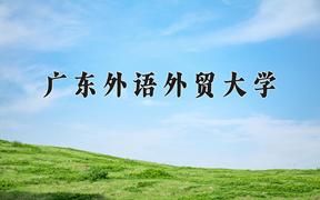 2024年广东外语外贸大学在重庆计划招生人数（附学费及专业录取分)