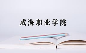 2024年威海职业学院在河北计划招生人数（附学费及专业录取分)