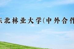 2024年东北林业大学(中外合作)在重庆计划招生人数（附学费及专业录取分)