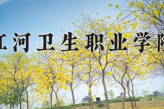 2024年红河卫生职业学院在河北计划招生人数（附学费及专业录取分)