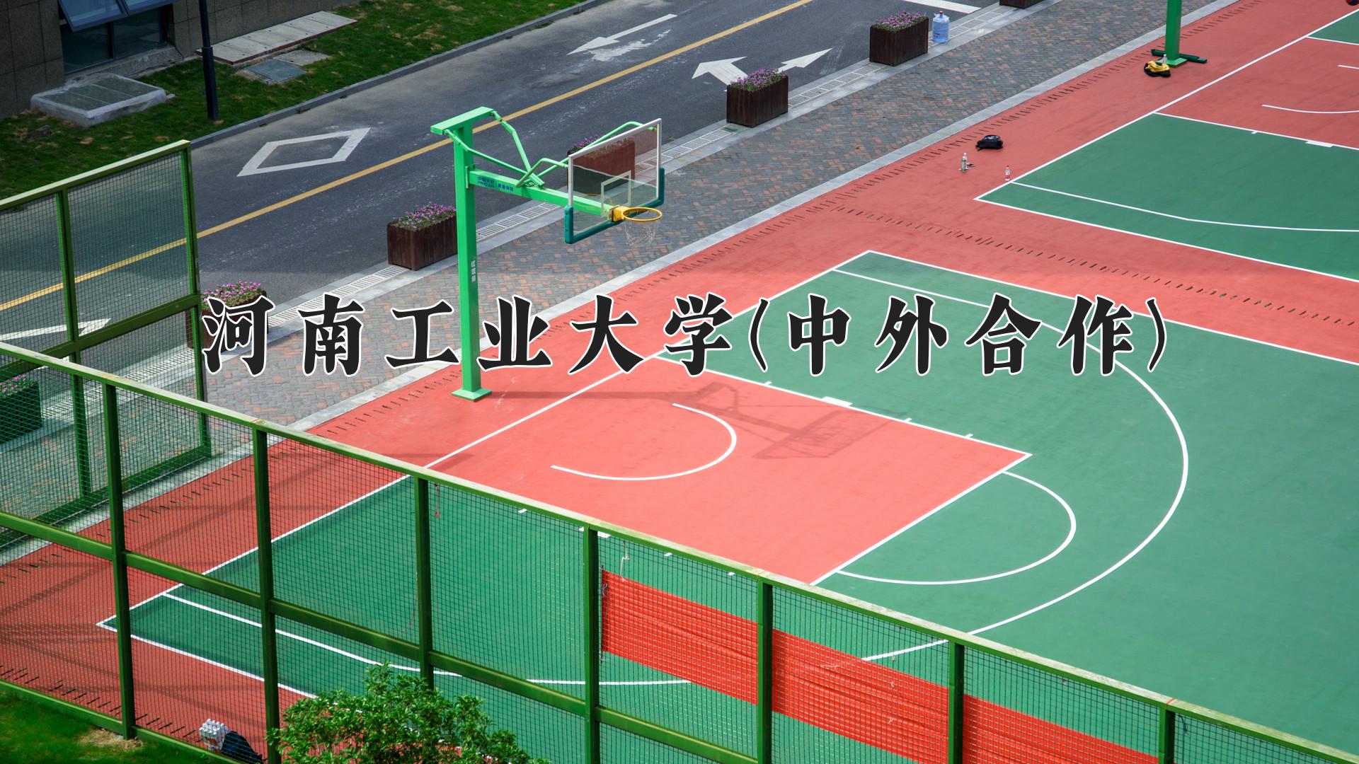 河南工业大学(中外合作)