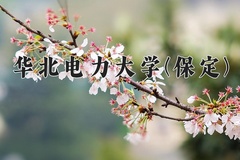 2024年华北电力大学(保定)在河北计划招生人数（附学费及专业录取分)