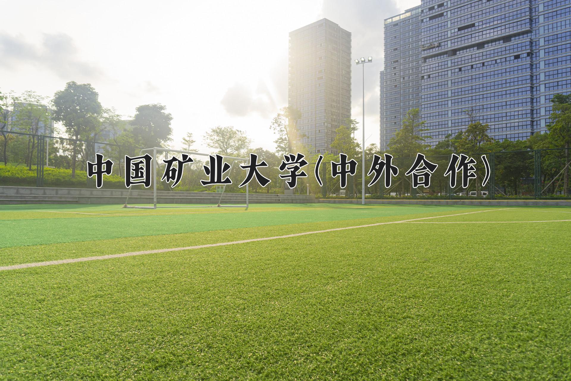 中国矿业大学(中外合作)